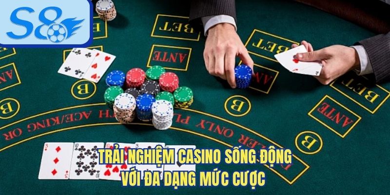 Trải nghiệm casino sống động với đa dạng mức cược 